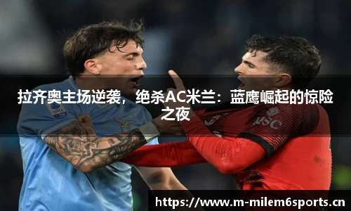 米乐m6体育官网